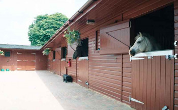 Конюшня на Азовском море